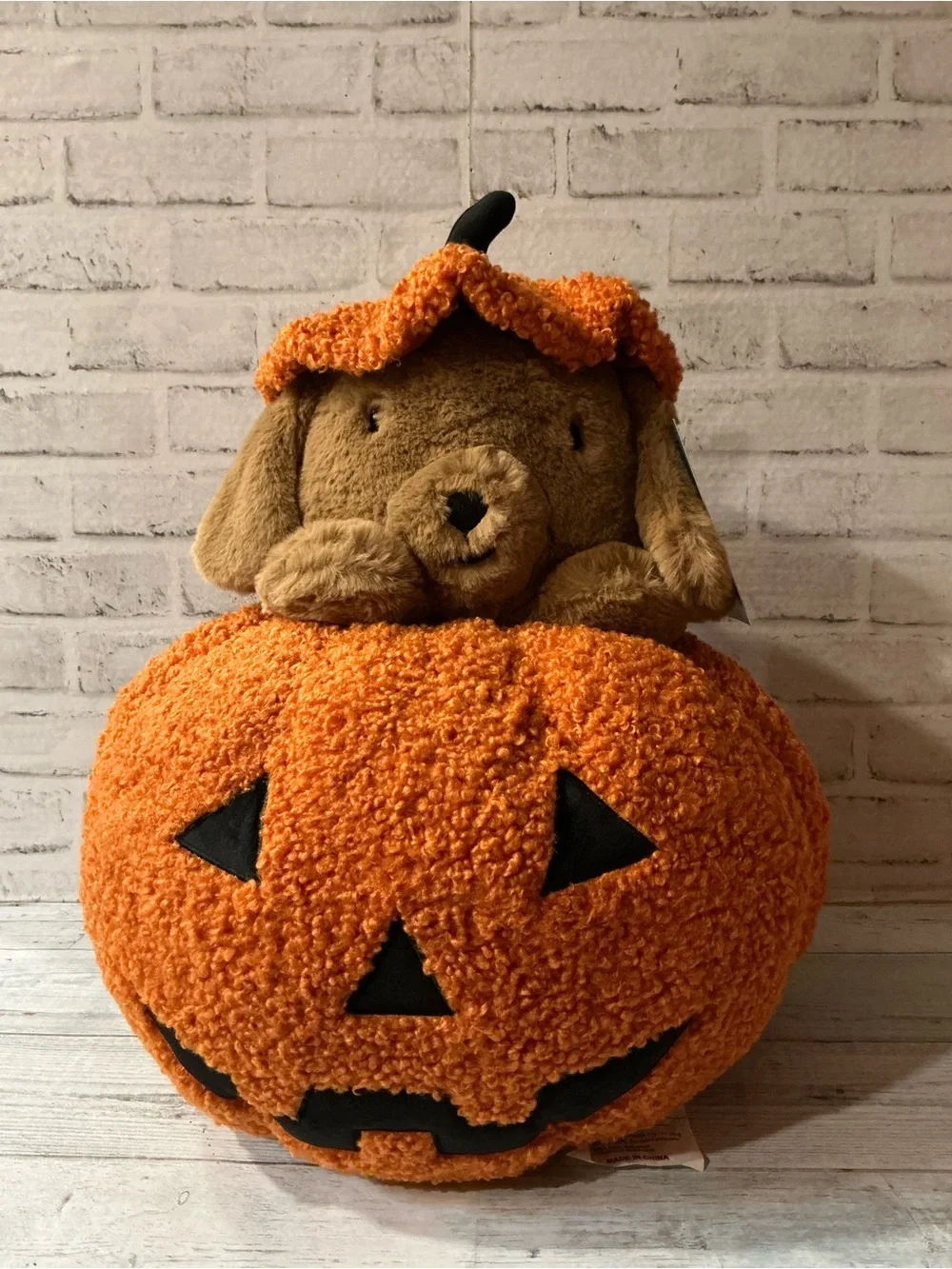 HUMANE SOCIETY 21x18 peek a boo halloween dog pillow